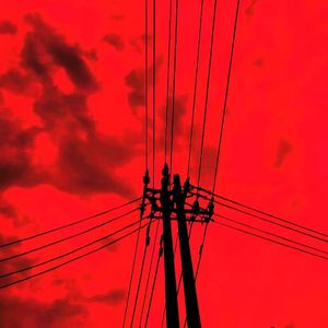 日韩美女大黑逼
