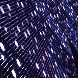 日韩美女大黑逼
