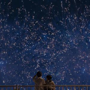 日韩美女大黑逼
